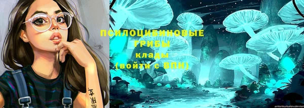 соль курить ск Алзамай