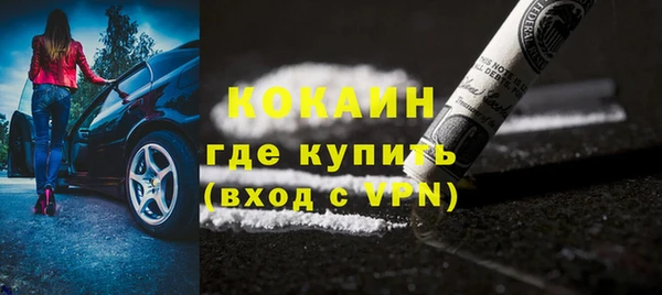 дживик Алексин