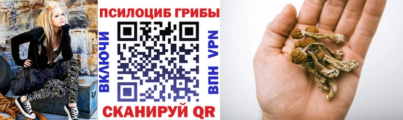 hydra маркетплейс купить Данков Псилоцибиновые грибы Psilocybine cubensis